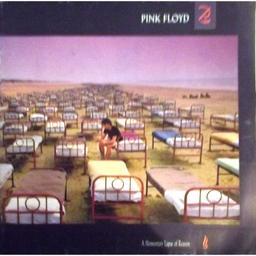 A Momentary Lapse of Reason | Pink Floyd (Groupe de rock psychédélique)
