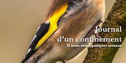 Journal d'un confinement : il nous reste quelques oiseaux | Pépin, Jean-François. Auteur