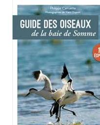 Guide des oiseaux de la baie de Somme : 110 espèces à découvrir où les observer | Carruette, Philippe. Auteur