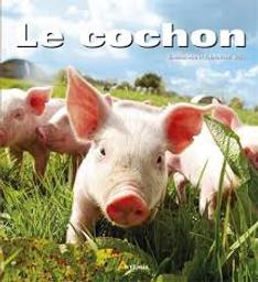 Le cochon | Dal'Secco, Emmanuelle. Auteur
