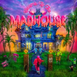 Welcome to the madhouse [CD] / Tones and I | Tones and I