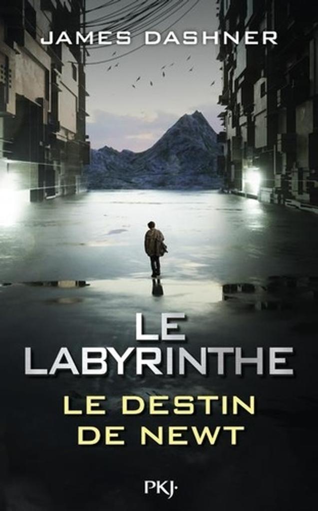 Le labyrinthe : le destin de Newt | 